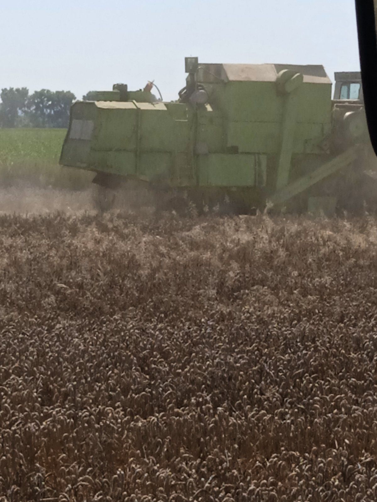 Продається Class Dominator 105