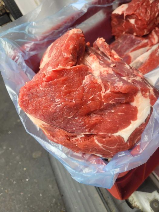 Wołowina Limousine chów ekstensywny naturalny