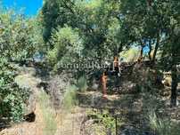 Herdade com 108 hectares em Idanha-a-Nova