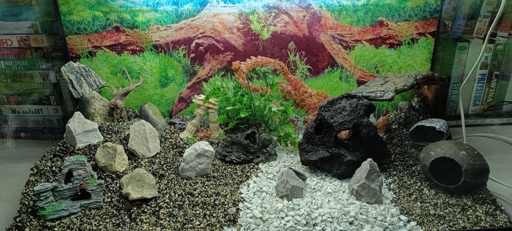 Zestaw akwarystyczny akwarium 112 litrów 80x35x40 duży zestaw ozdoby