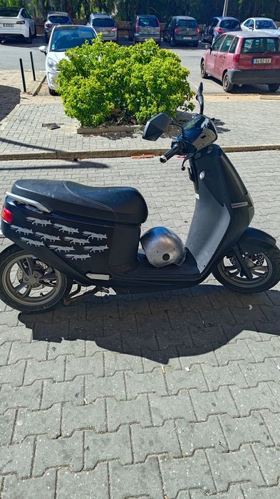 Mota eletrica Ecooter e1