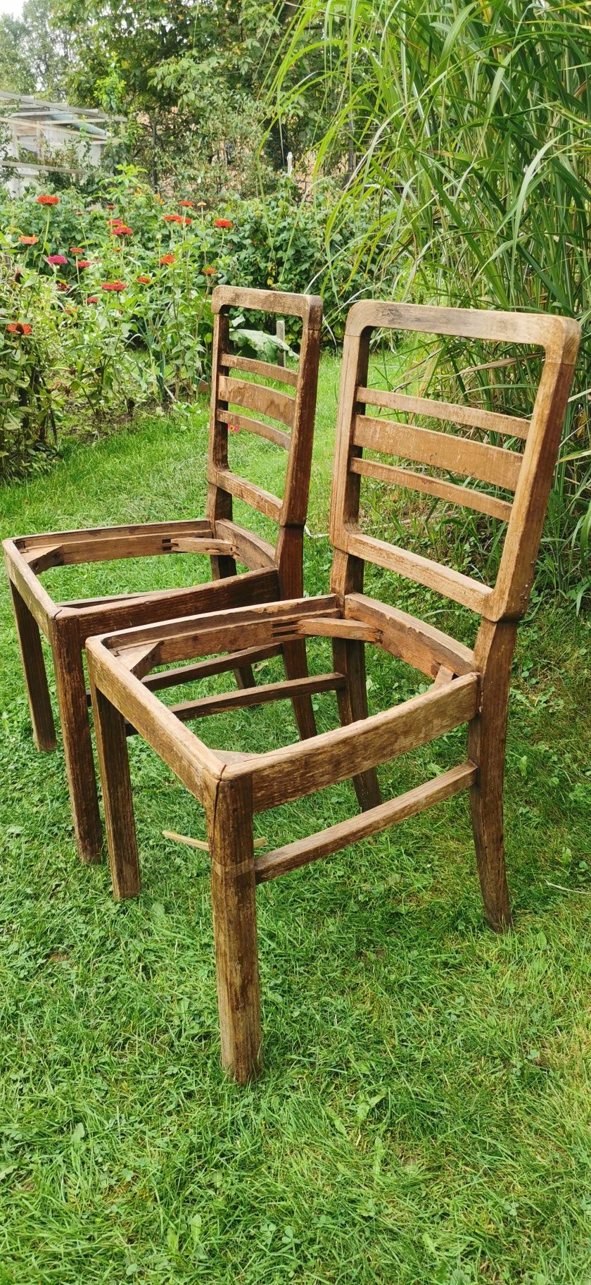 Krzesła z drewna bukowego Art Deco