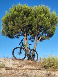 Bicicleta de montanha Scott Aspect 910 preta/verde roda 29