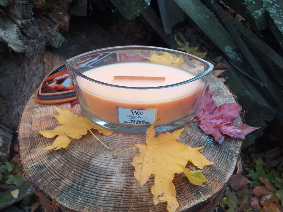 Ароматична свічка WoodWick 453,6 гр (Оригінальна)+ Подарунок