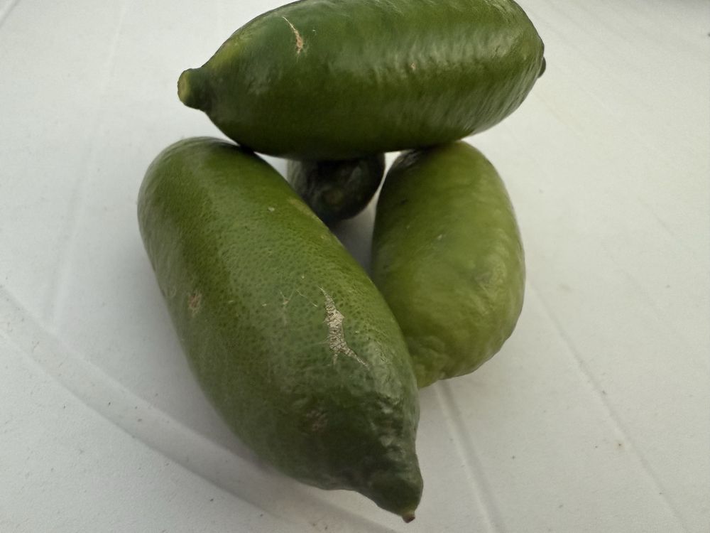 Limão  caviar verde