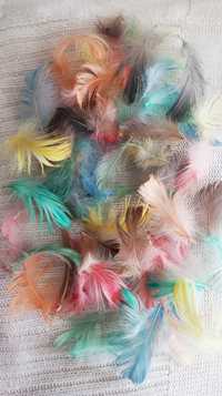 Цветное перо натуральное для  творчества. Набор 25 штук