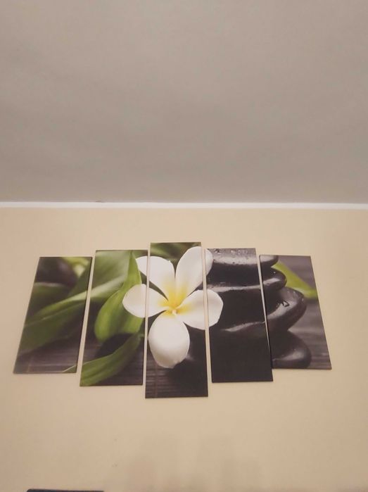 Obraz na ścianę 5 elementów