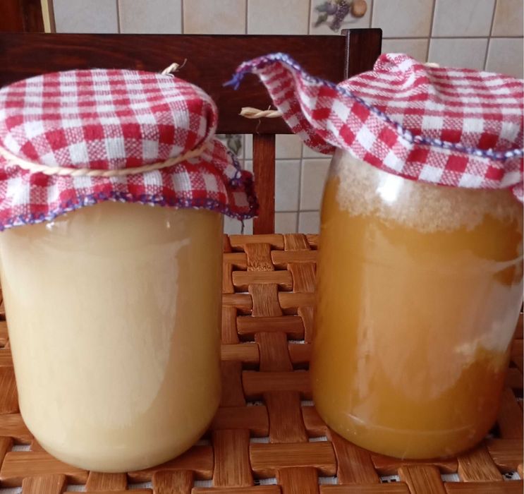 Miód prosto z pasieki