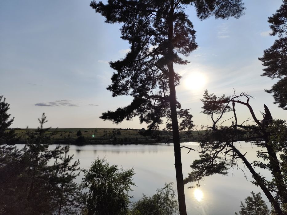 Дача с Івашківці поряд з лісом та ставком