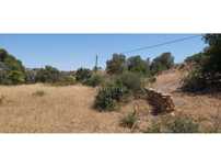 Terreno rústico, em zona agrícola, Albufeira, Algarve