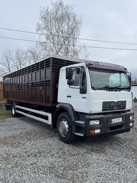 Послуги скотовоза. Скотовоз для перевезення тварин.