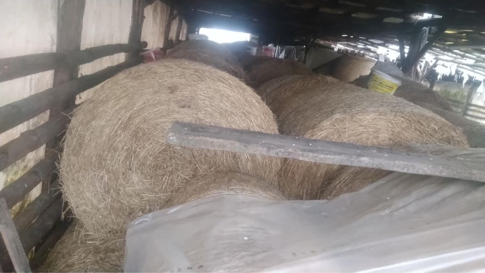 Uslugi transportowe , Sprzedaż słomy, siana wraz transportem