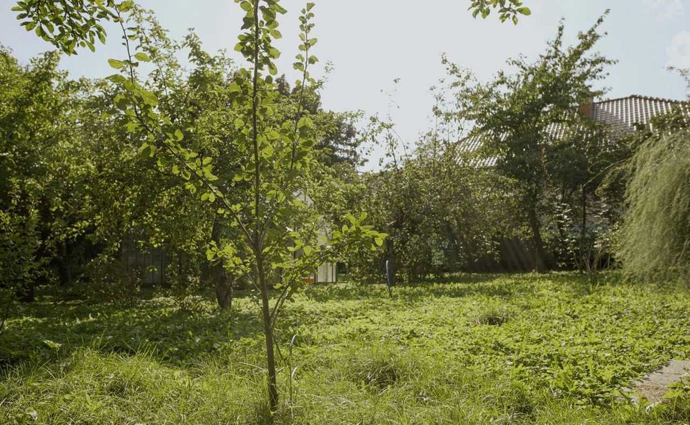 Dom z potencjałem w centrum ul. Świackiego "Sępa"