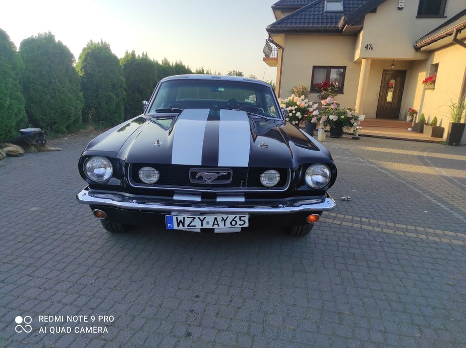 Mustang V8 na wesele ślub przyjęcie kawalerskie wynajem imprezy