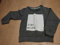 Szara bluza Stay weird  100