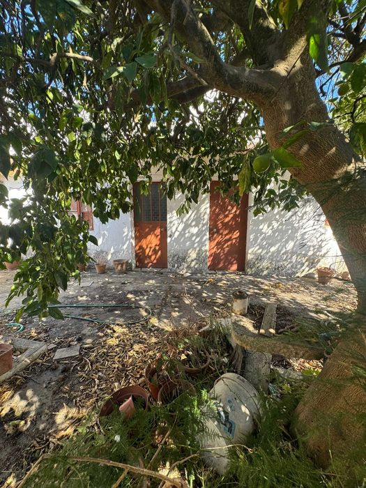 Preço Revisto | Moradia Rústica T3 com jardim, garagem e anexo