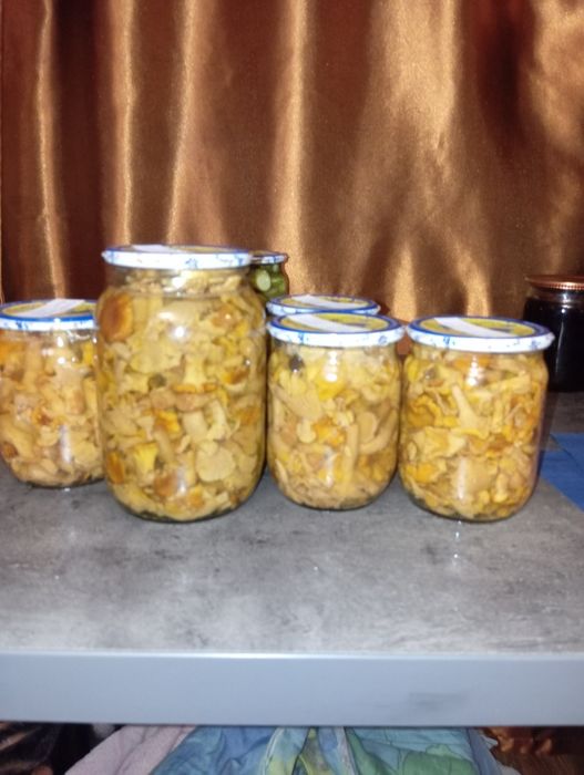 Лисички мариновані,з  часником та без