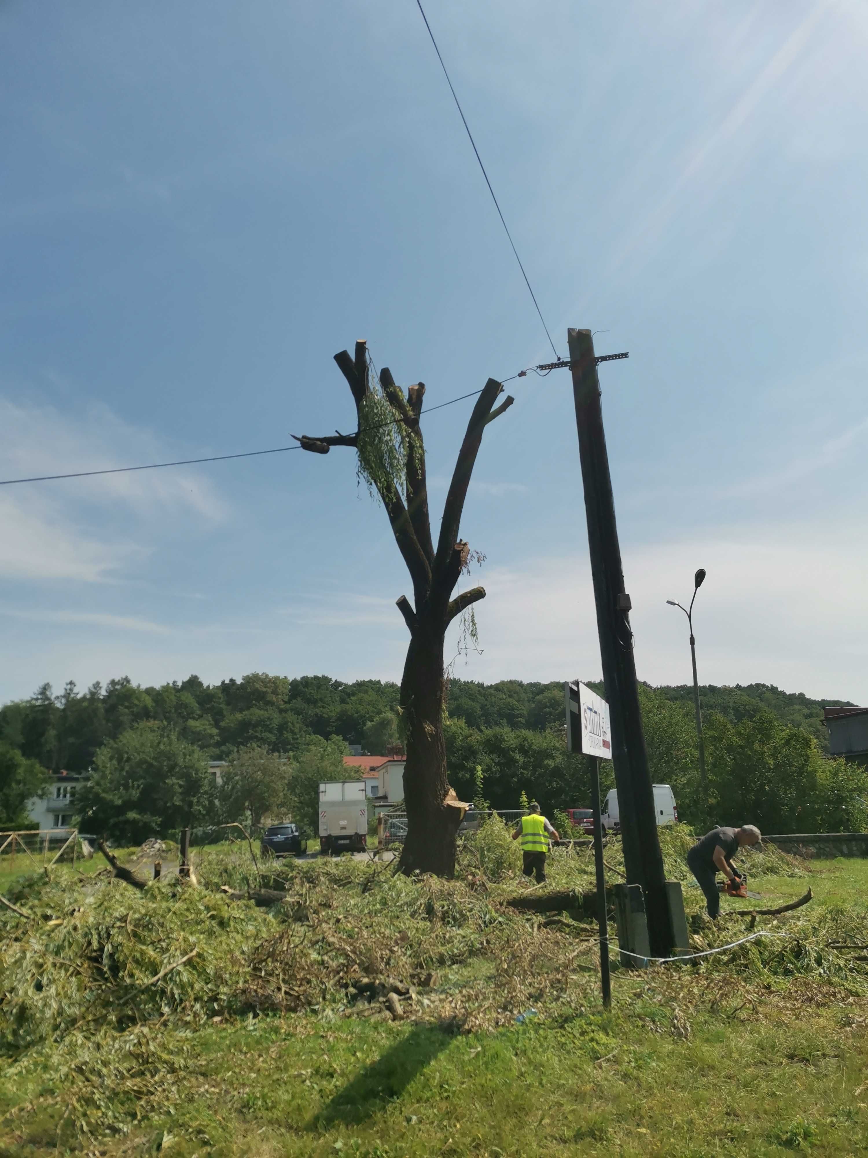 Wycinka pielęgnacja drzew alpinistycznie regulacja tuii zwyżka