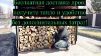 Дрова з граба з безкоштовною доставкою в Одесі та області