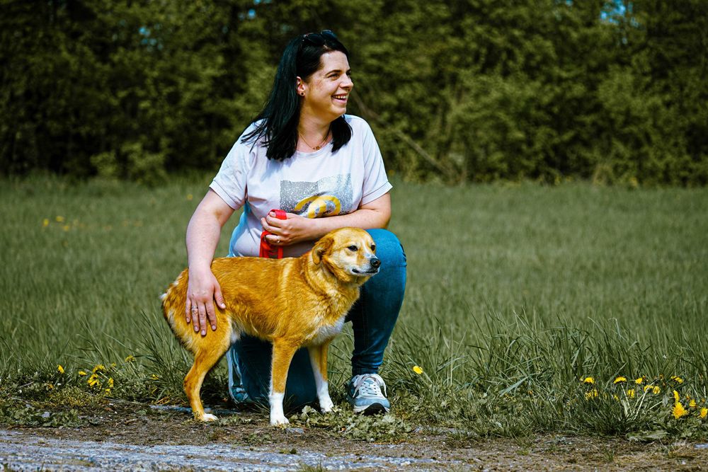 MEDO - piękny psiak