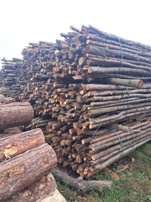 Suche drewno opałowe/kominkowe z transportem