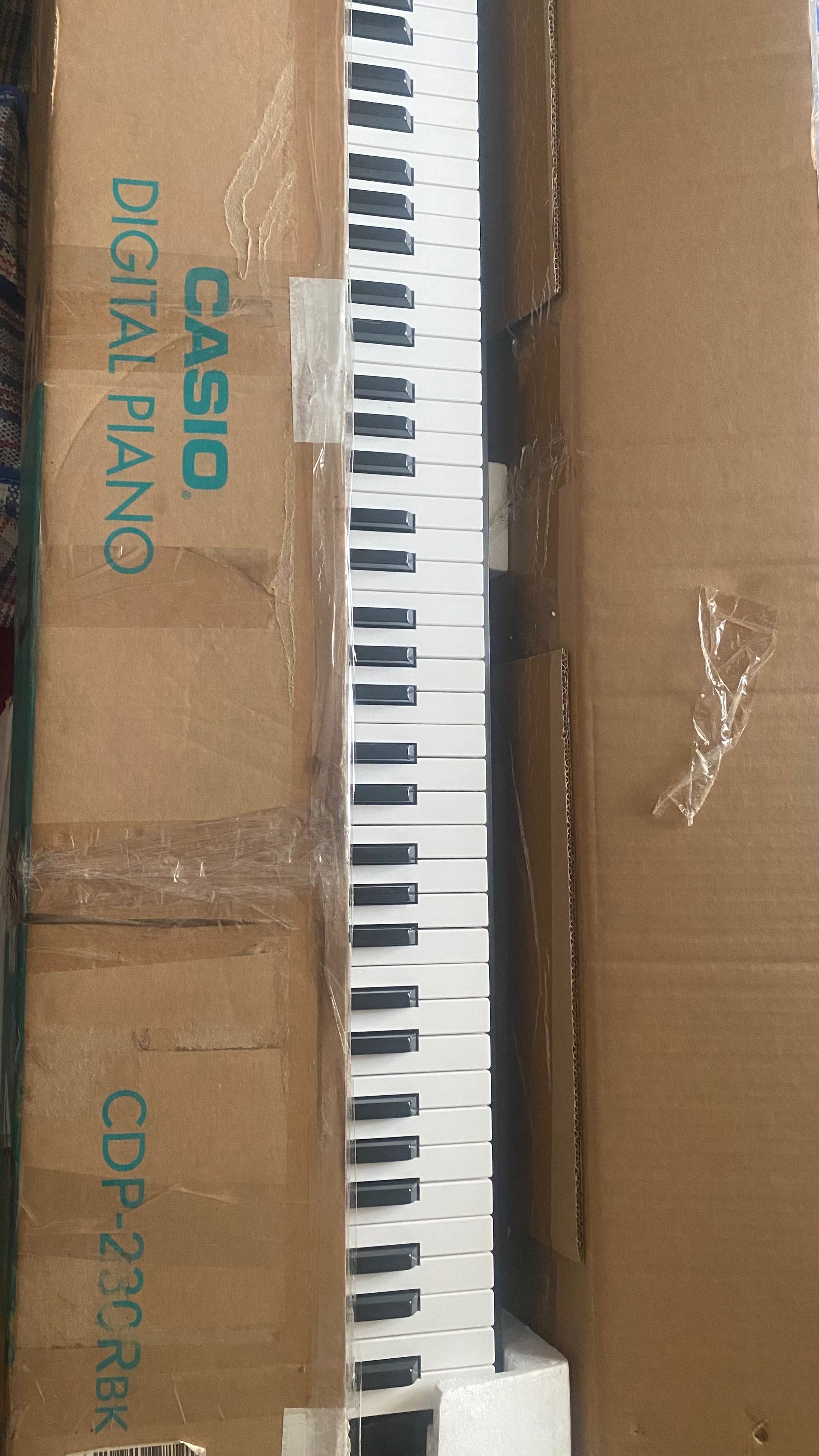 CASIO Digital piano