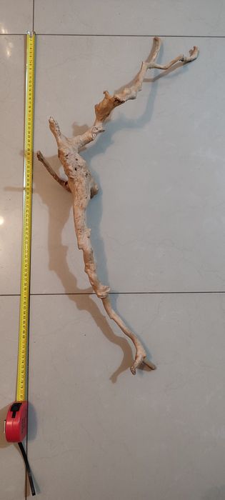 Korzeń do akwarium Red Moor Wood.