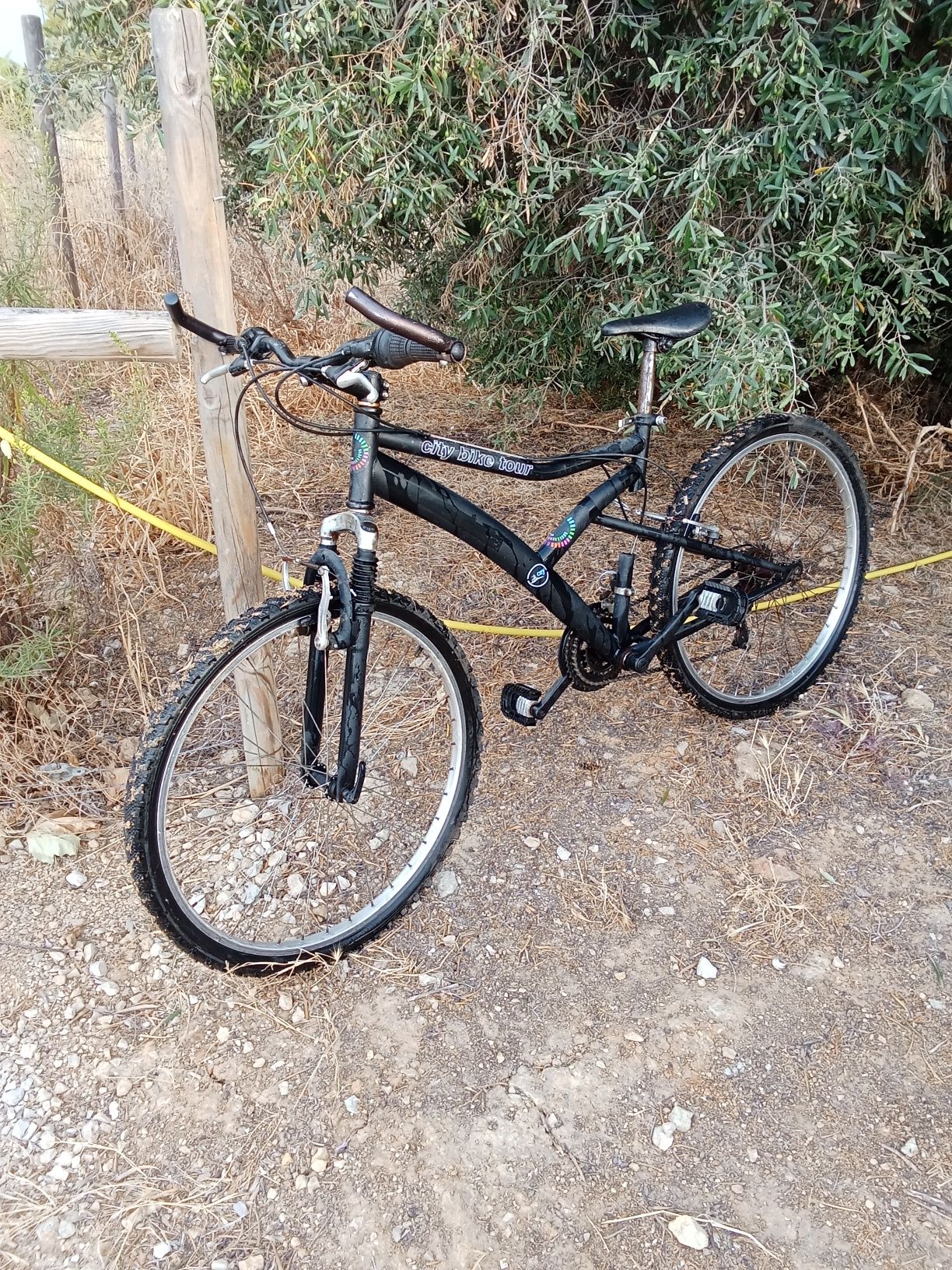Bicicleta adulto