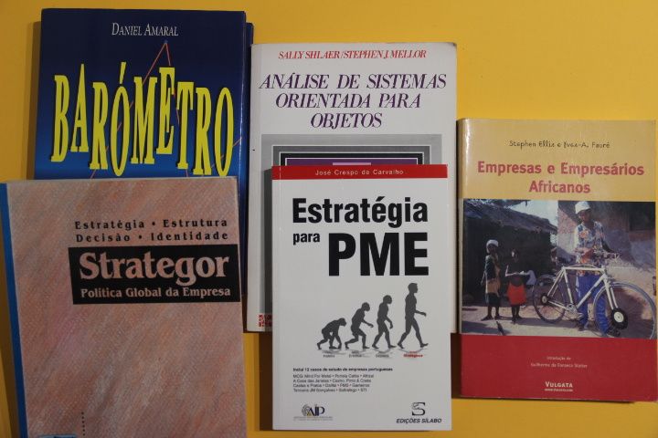 Livros: Barómetro/ Strategor/ estratégia para PME/...