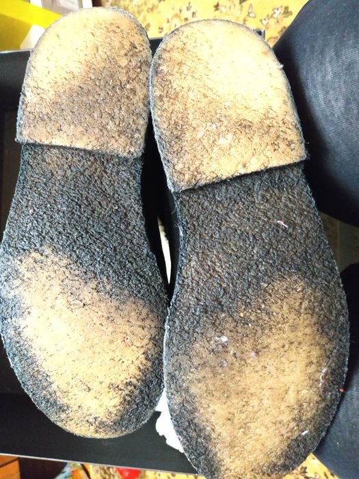 фирменные утепленные замшевые женские сапоги BALLY