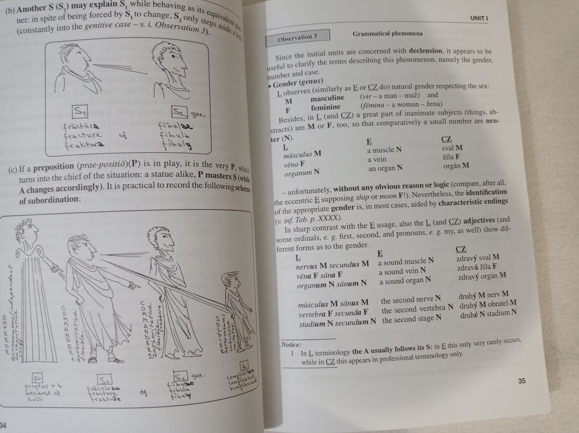 An introduction to Greco-Latin medical terminology - Dana Svobodová