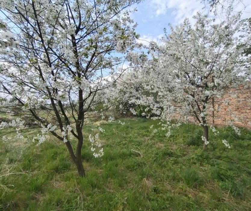 Продаж будинку недалеко від Чернігова