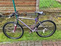 Rower Wheeler 3080 Pro Line MTB