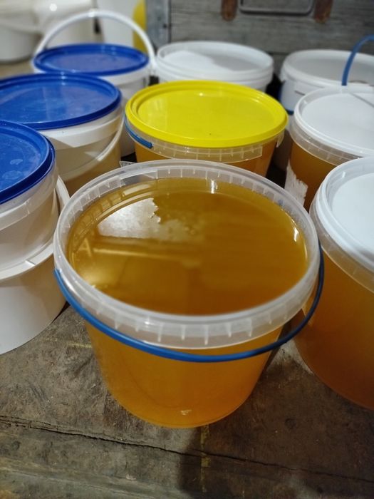 Продам смачний та якісний мед з власної пасіки