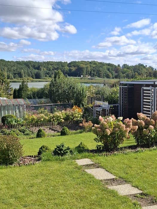 Piękna działka ROD z widokiem na jezioro 437 m2