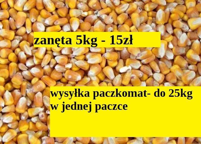 pasza dla kur nioski karma pszenica