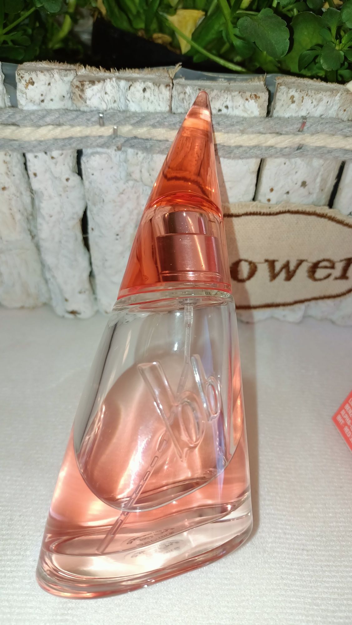 Bruno Banani Absolute 50 ml