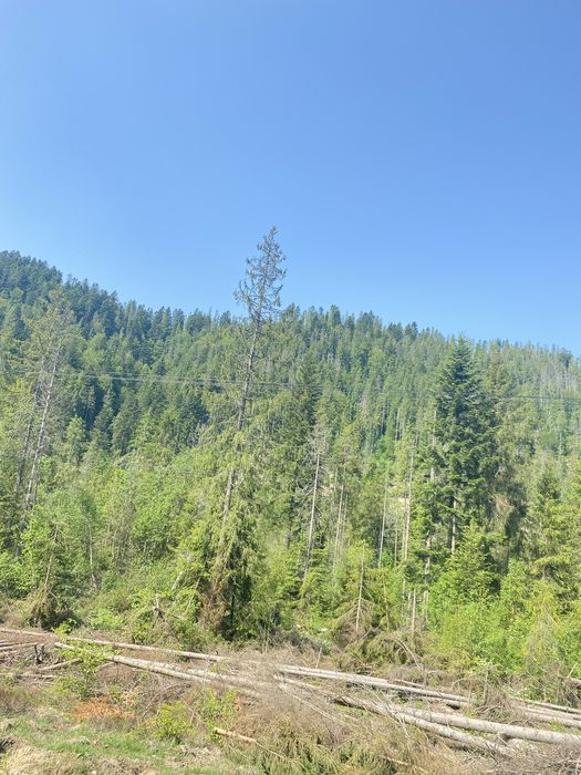 Земельна ділянка