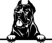 1056 Naklejka Cane Corso