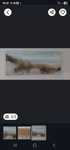 Obraz fototapeta  wydmy / morze 117x50