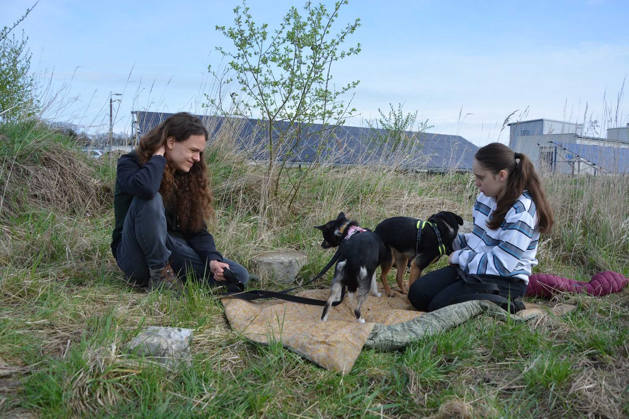 Melcia - mały słodziak szuka kochającej rodziny ADOPCJA