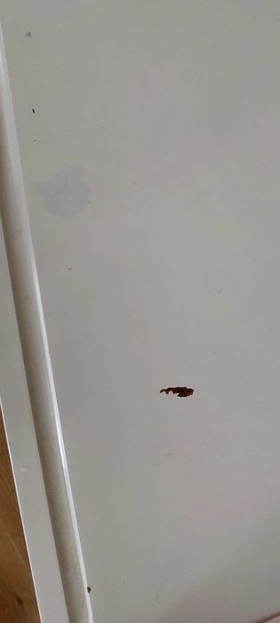Biurko dziecięce IKEA FLISAT