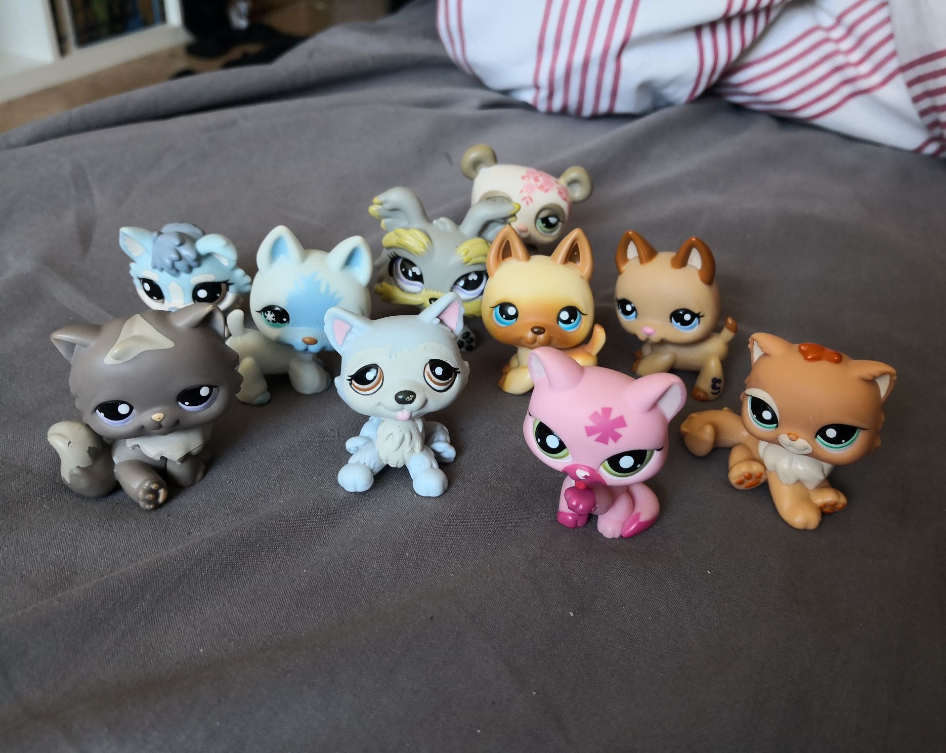 Littlest pet shop figurki lps hasbro unikat husky owczarek pers kot