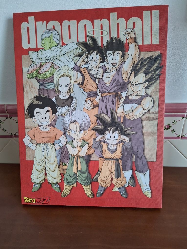 Quadro Dragon Ball Z