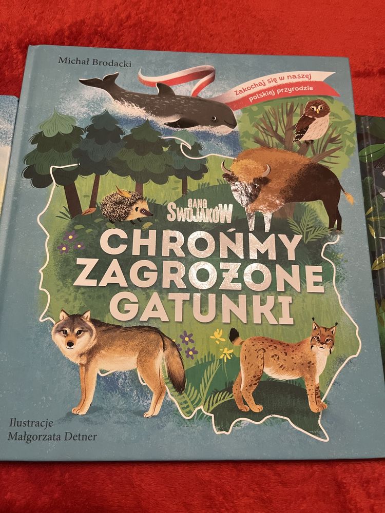 Zestaw książek biedronka gang słodziaków