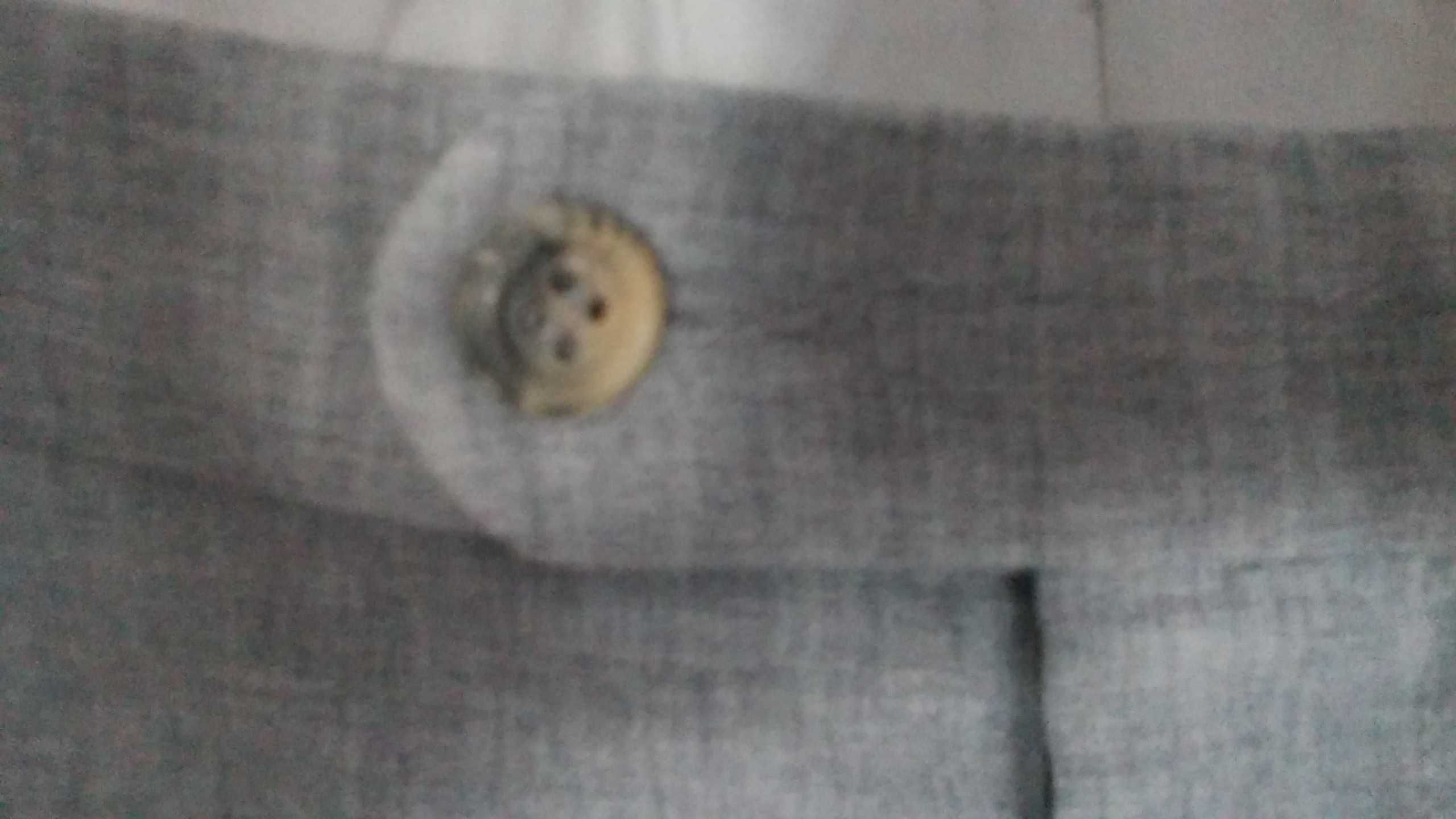 Spodnie wełniane, Gardeur, siwe,L/XL ?, wiosna, lato