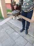 Wiatrak sufitowy