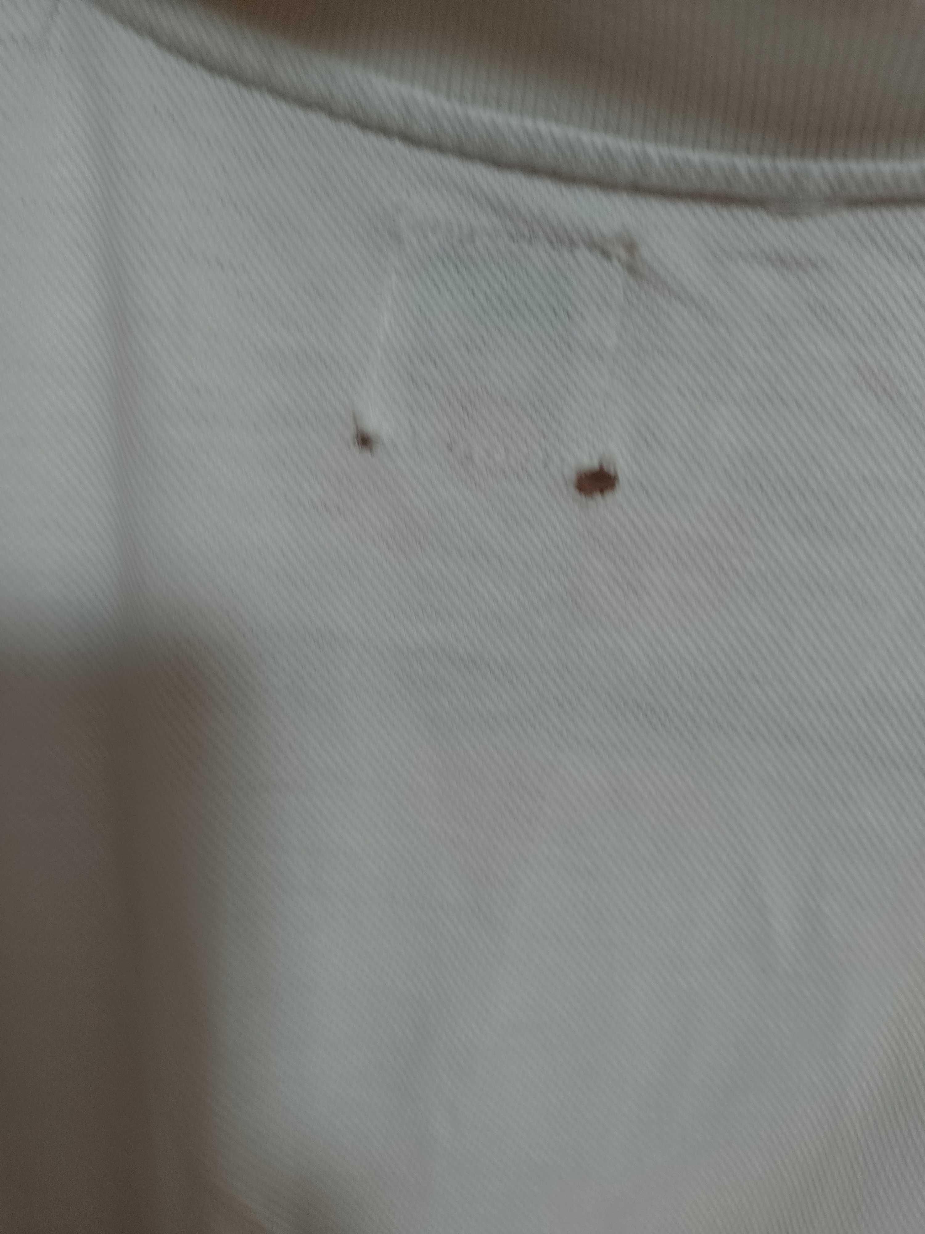 (M) Levi's/ Koszulka Polo, podkoszulka z kołnierzykiem, bluzka