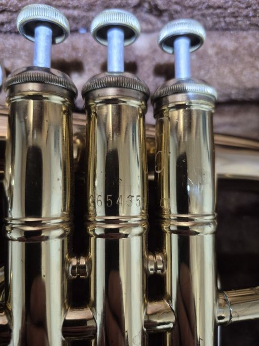 Флюгельгорн Bach Stradivarius 183 G 1100$