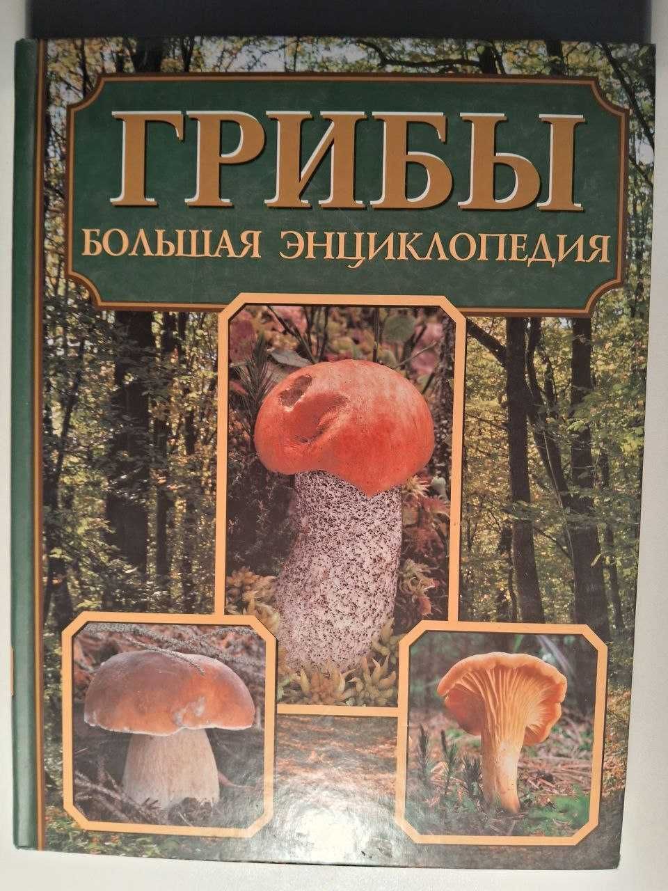 Гриби. Велика енциклопедія Книга (Російською мовою)